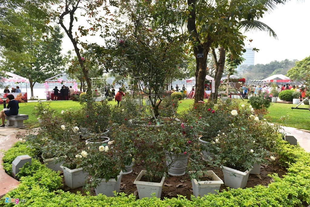 Le hoi hoa hong Bungaria anh 3