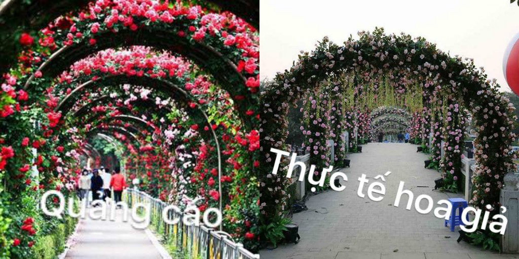 Le hoi hoa hong Bungaria anh 1