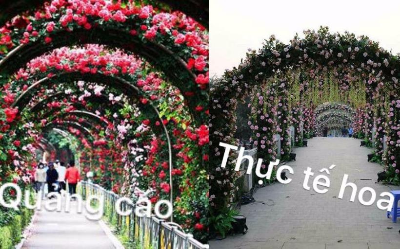 Nhung hinh anh xau xi trong le hoi hoa o Viet Nam hinh anh