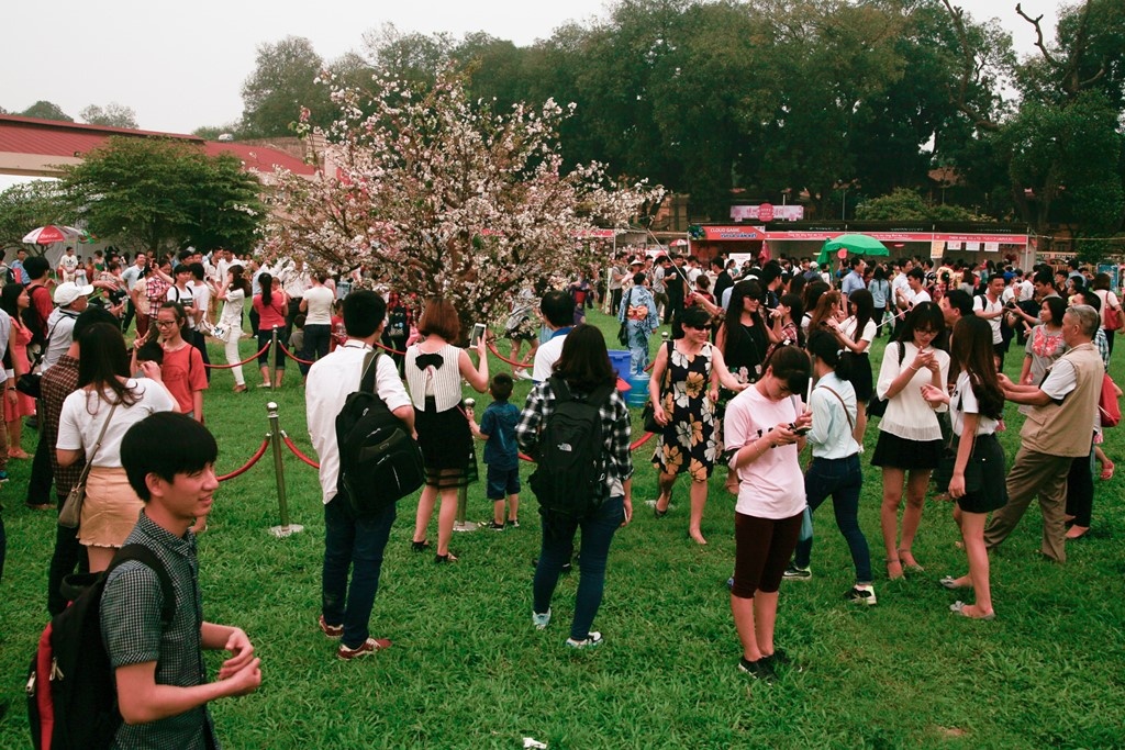 Le hoi hoa hong Bungaria anh 6