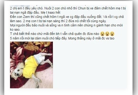bức ảnh cuối cùng của chú chó cứu chủ ảnh 3 buc anh cuoi cung cua chu cho cuu chu anh 3