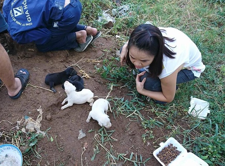 cứu chó mẹ và đàn con bị bỏ rơi ảnh 2 cuu cho me va dan con bi bo roi anh 2