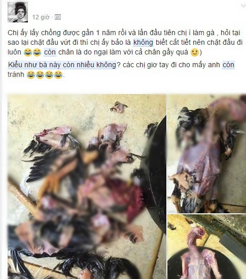 cau chuyen con dau vat long ga anh 1