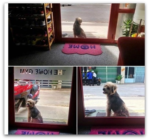 su that chu cho that lac o Dong Nai anh 1