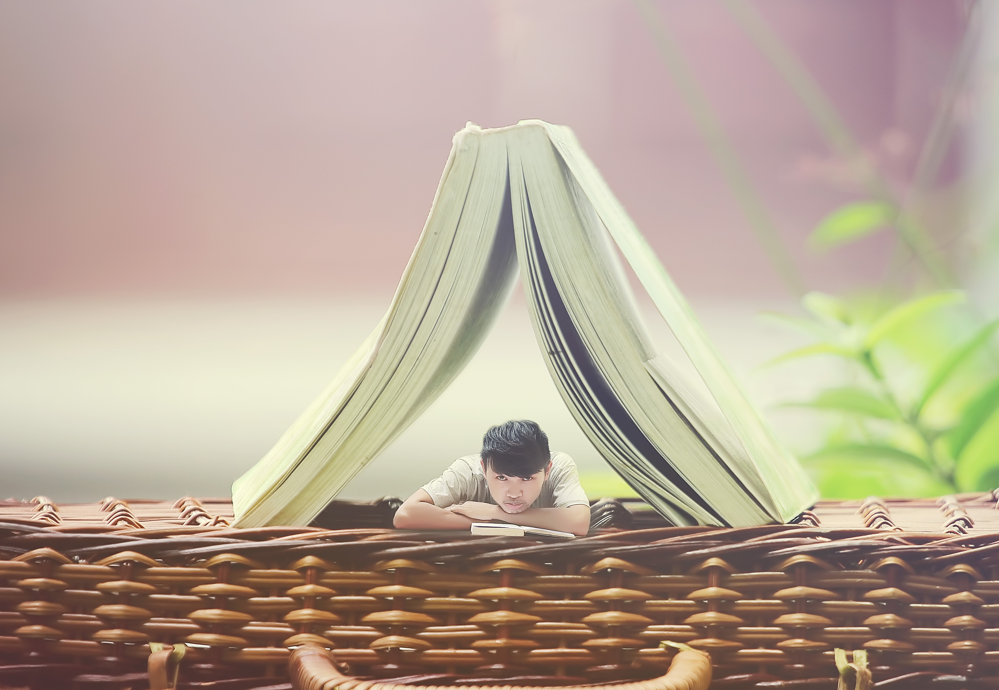 9X Ha thanh ve tranh ti hon anh 2