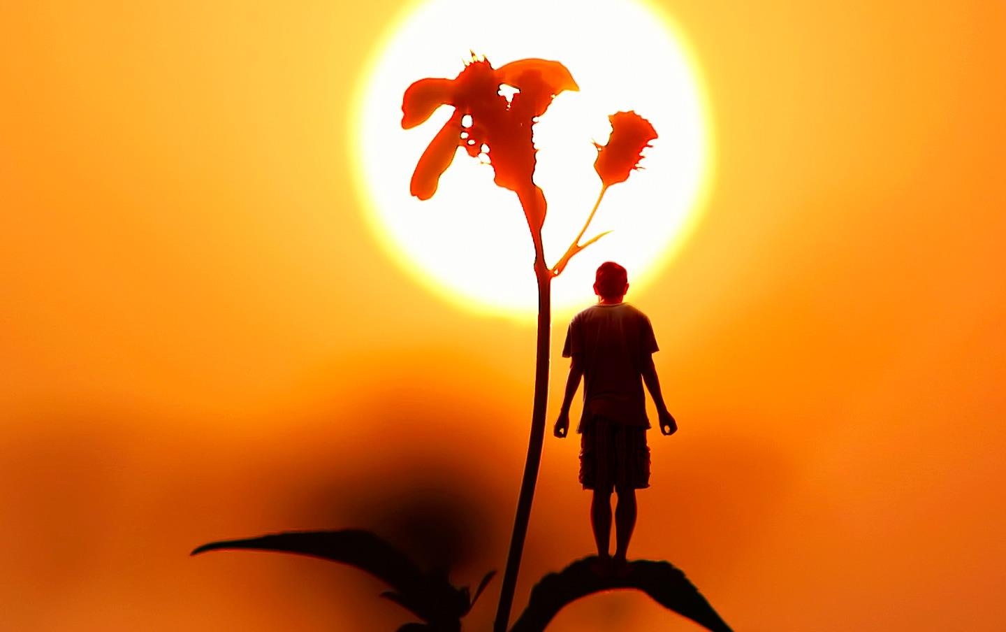 Clip tao hinh hai huoc hinh anh