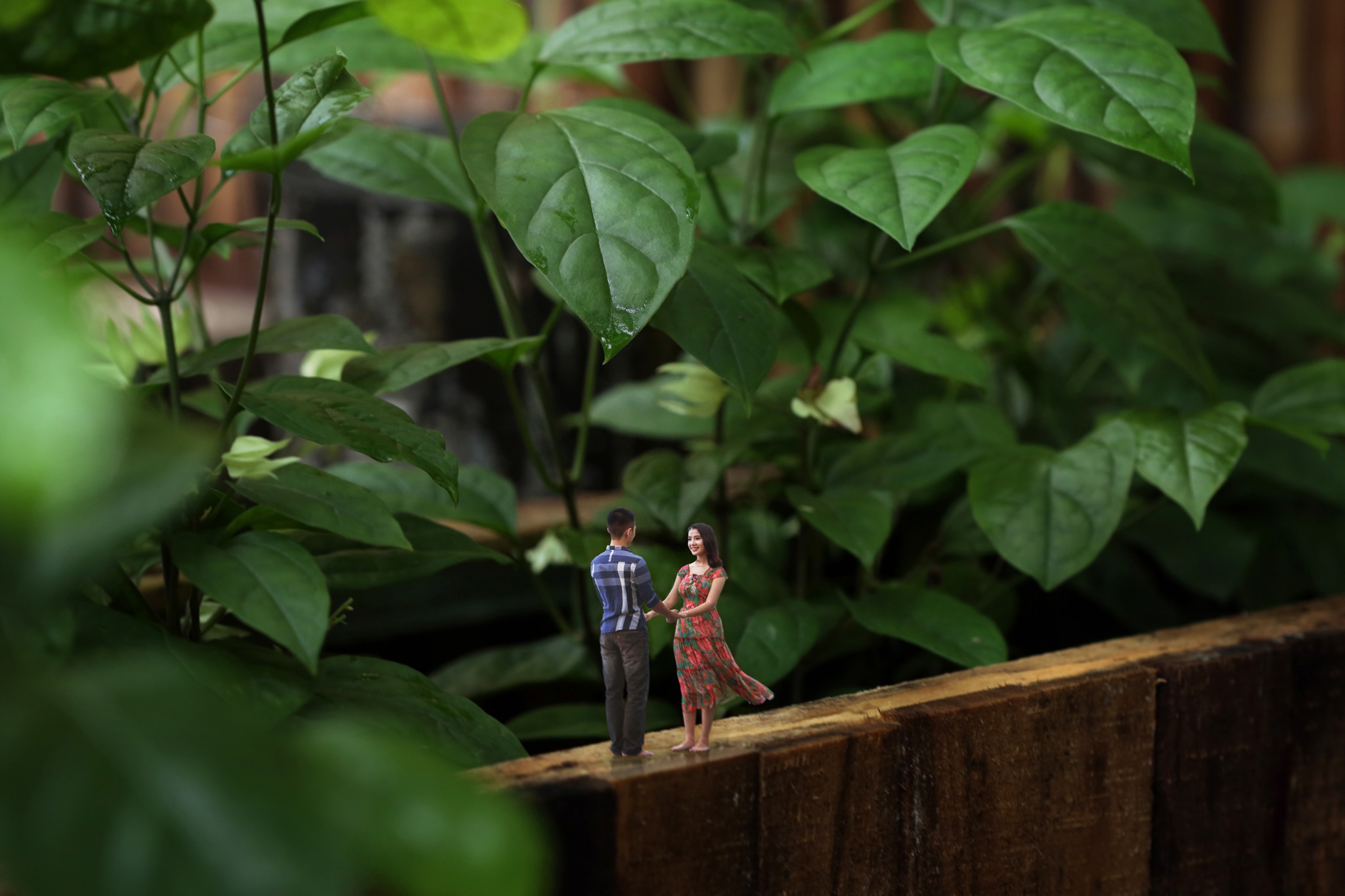 anh cuoi phong cach ti hon anh 2