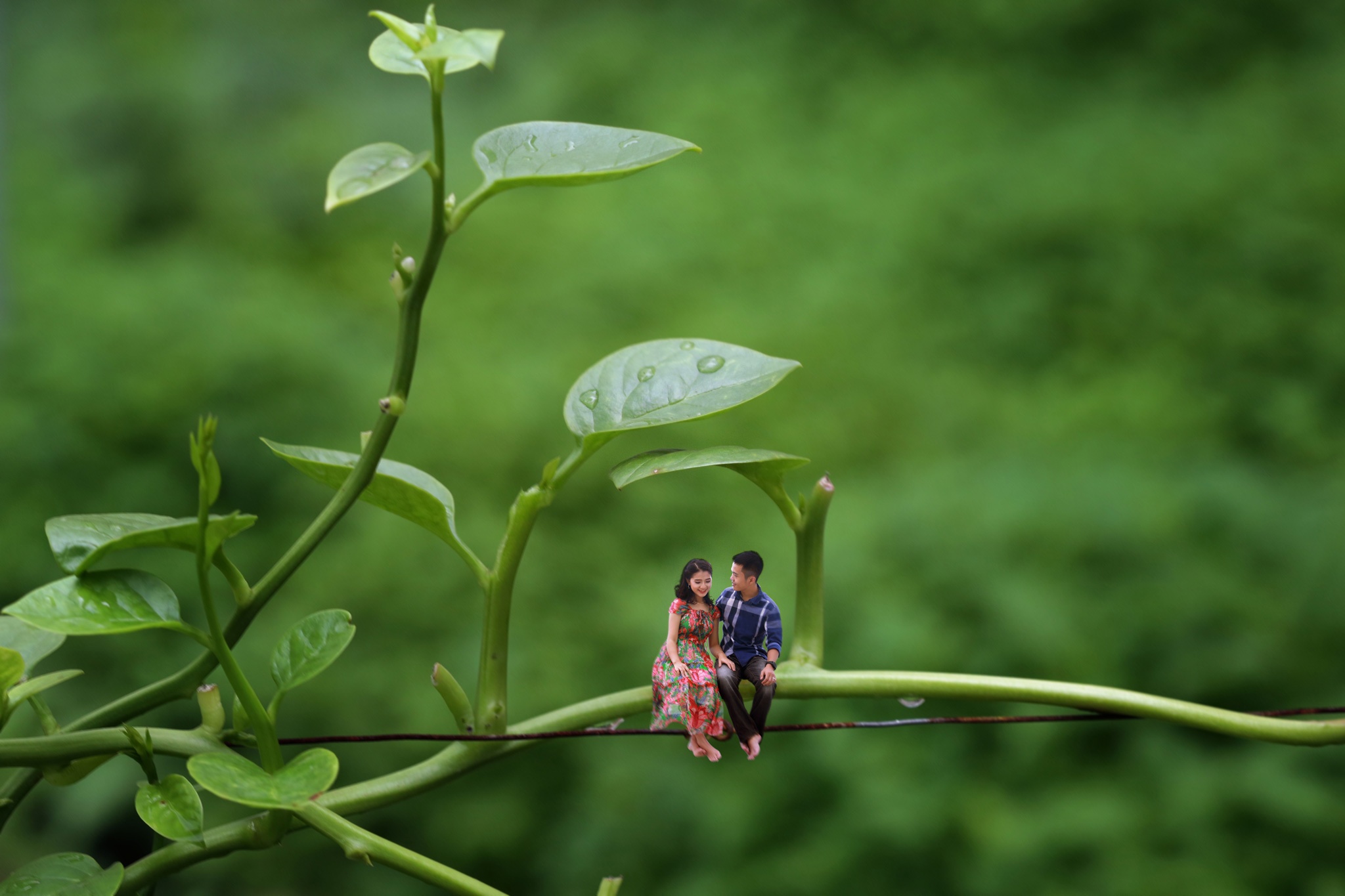 anh cuoi phong cach ti hon anh 3