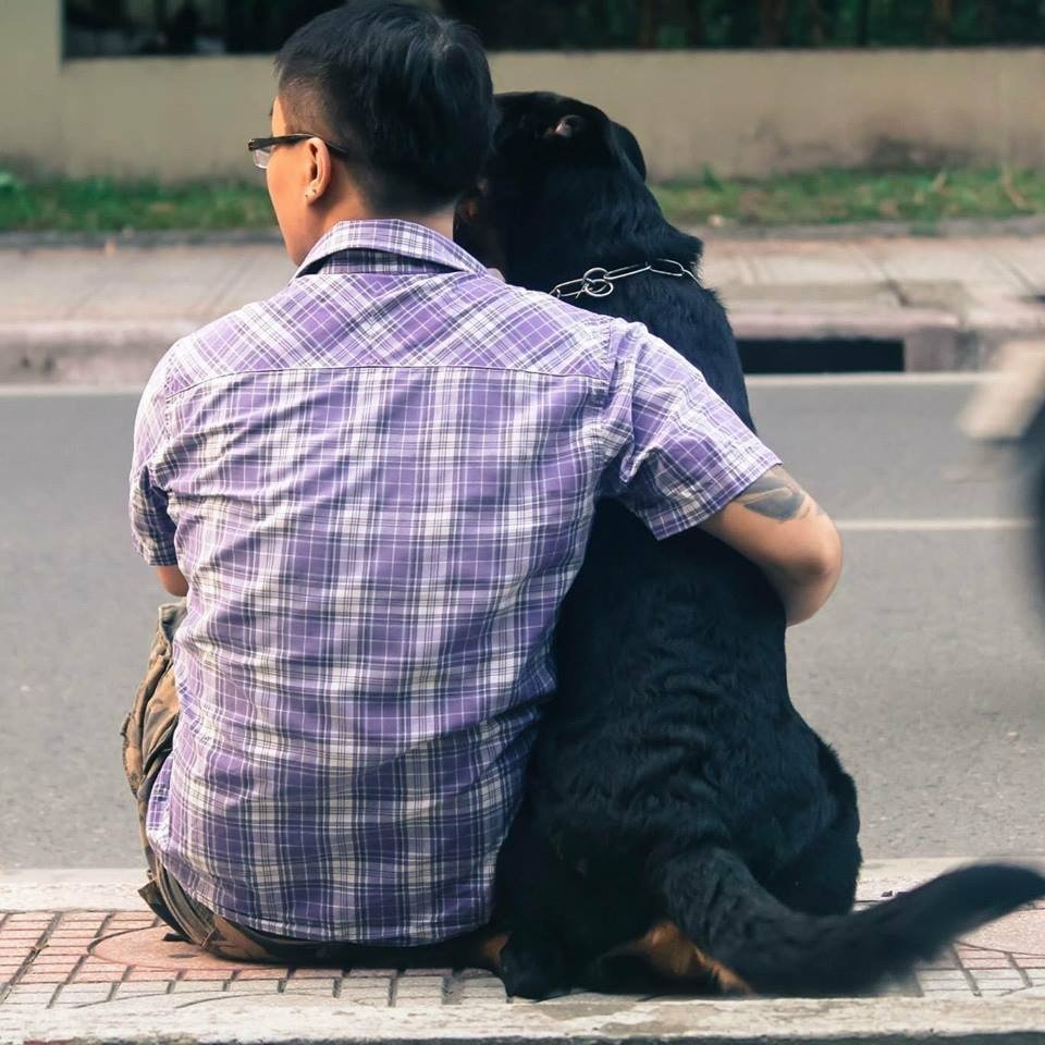 câu chuyện đàn chó bị đánh bả chết ảnh 2 cau chuyen dan cho bi danh ba chet anh 2