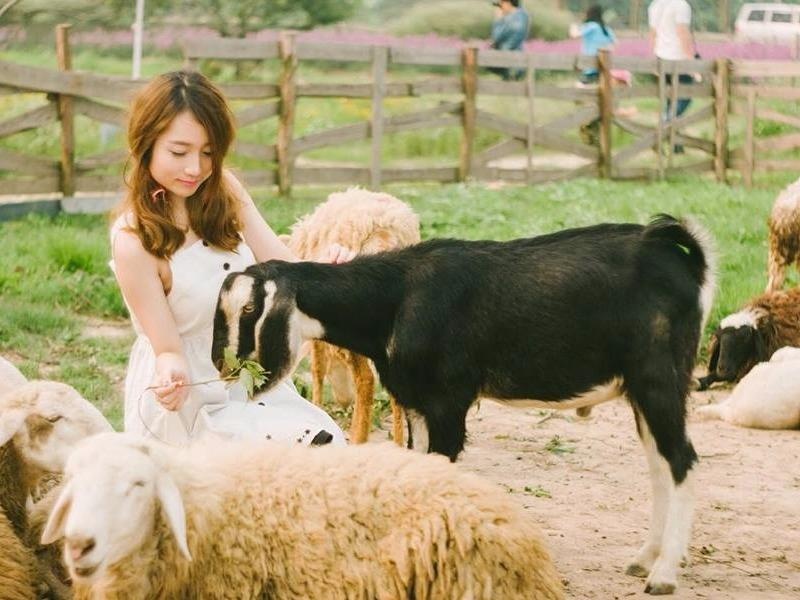 Nguyen Hoa the hien tai choi piano hinh anh