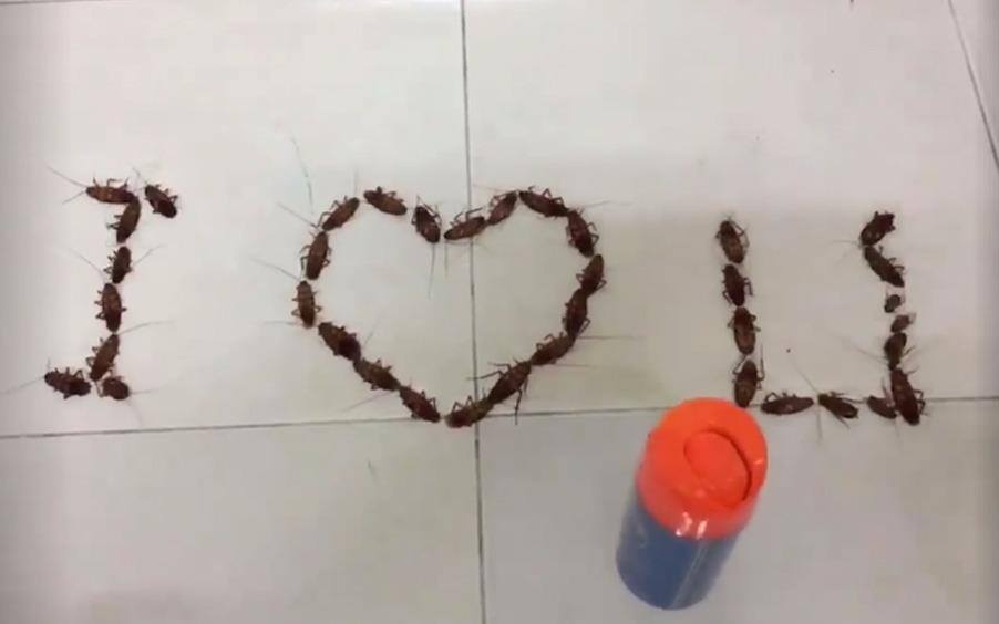 Nam sinh Ha Noi nhan cai ket dang sau khi to tinh bang 38 con gian hinh anh