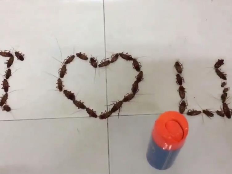 9X to tinh bang gian hinh anh