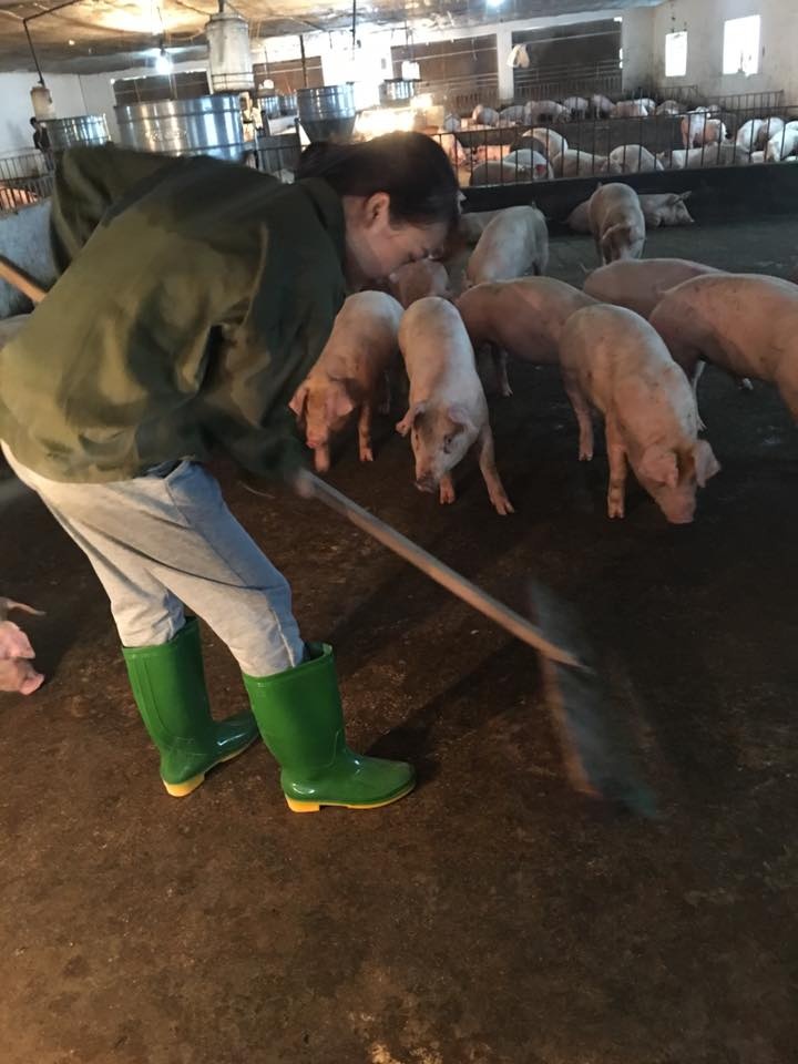 co gai chan heo xinh dep anh 2