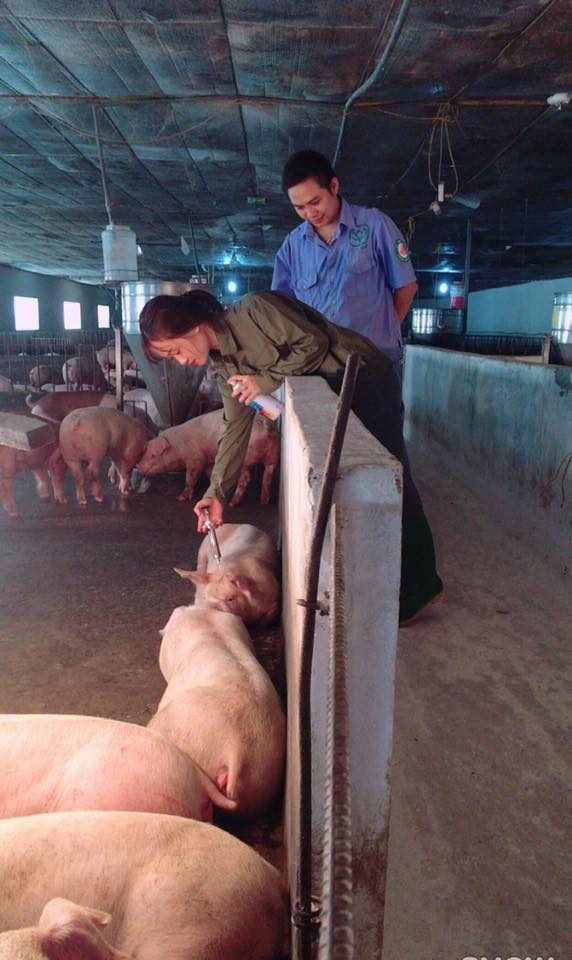 co gai chan heo xinh dep anh 4