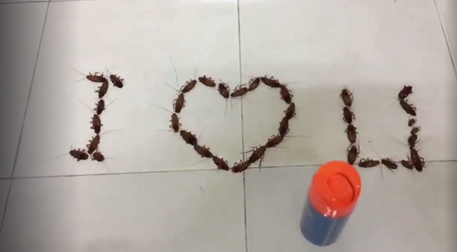 Valentine nhin lai nhung man to tinh anh 7