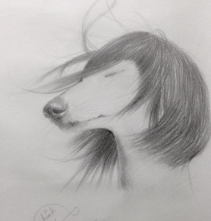 anh che nam cho cua dan mang anh 7