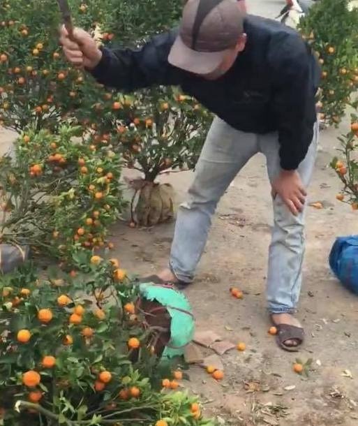 cac cho hoa xa rac bua bai chieu 30 Tet anh 1