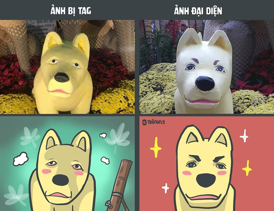 anh che nam cho cua dan mang anh 2