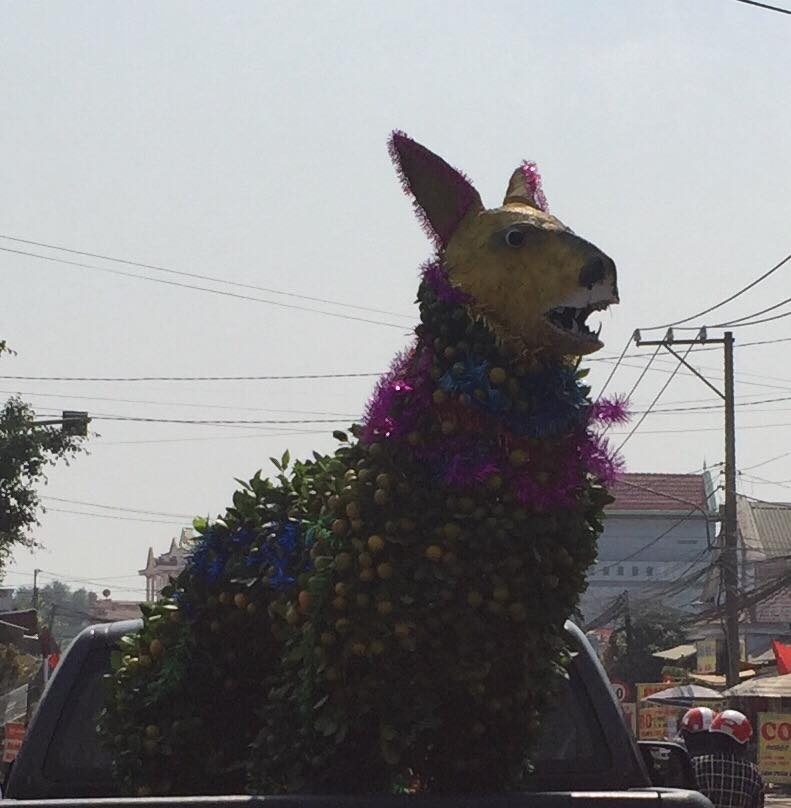 anh che nam cho cua dan mang anh 5