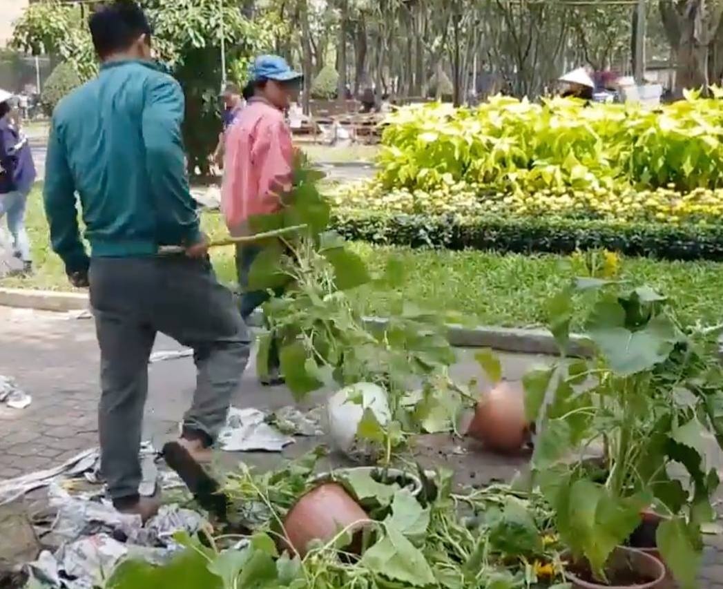 cac cho hoa xa rac bua bai chieu 30 Tet anh 6