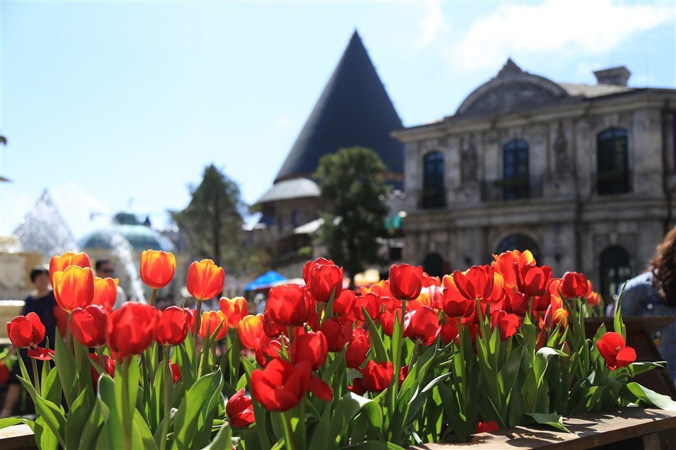 Vui choi ngay Tet o Sun World anh 3