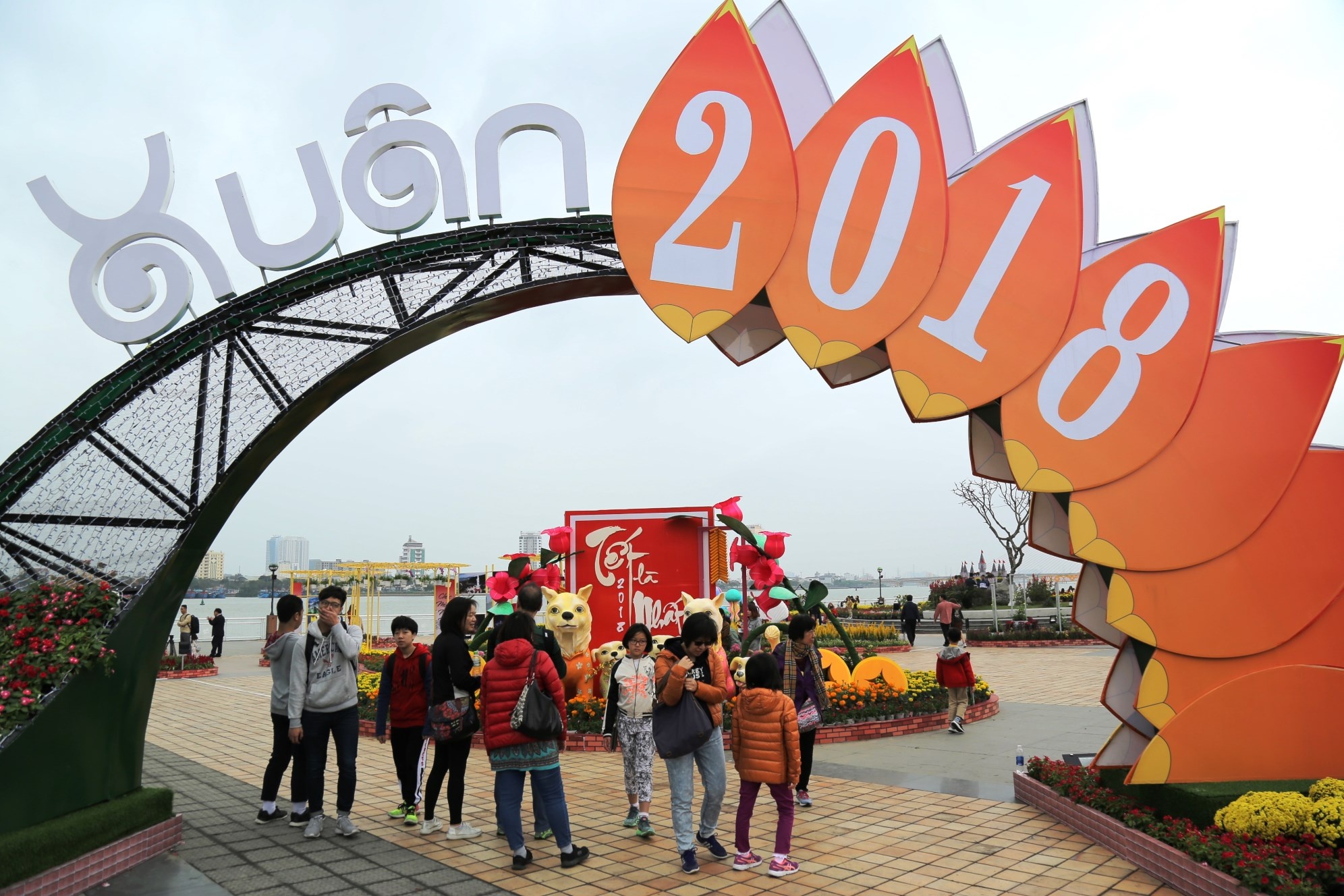 ngam hoa Da Nang anh 1