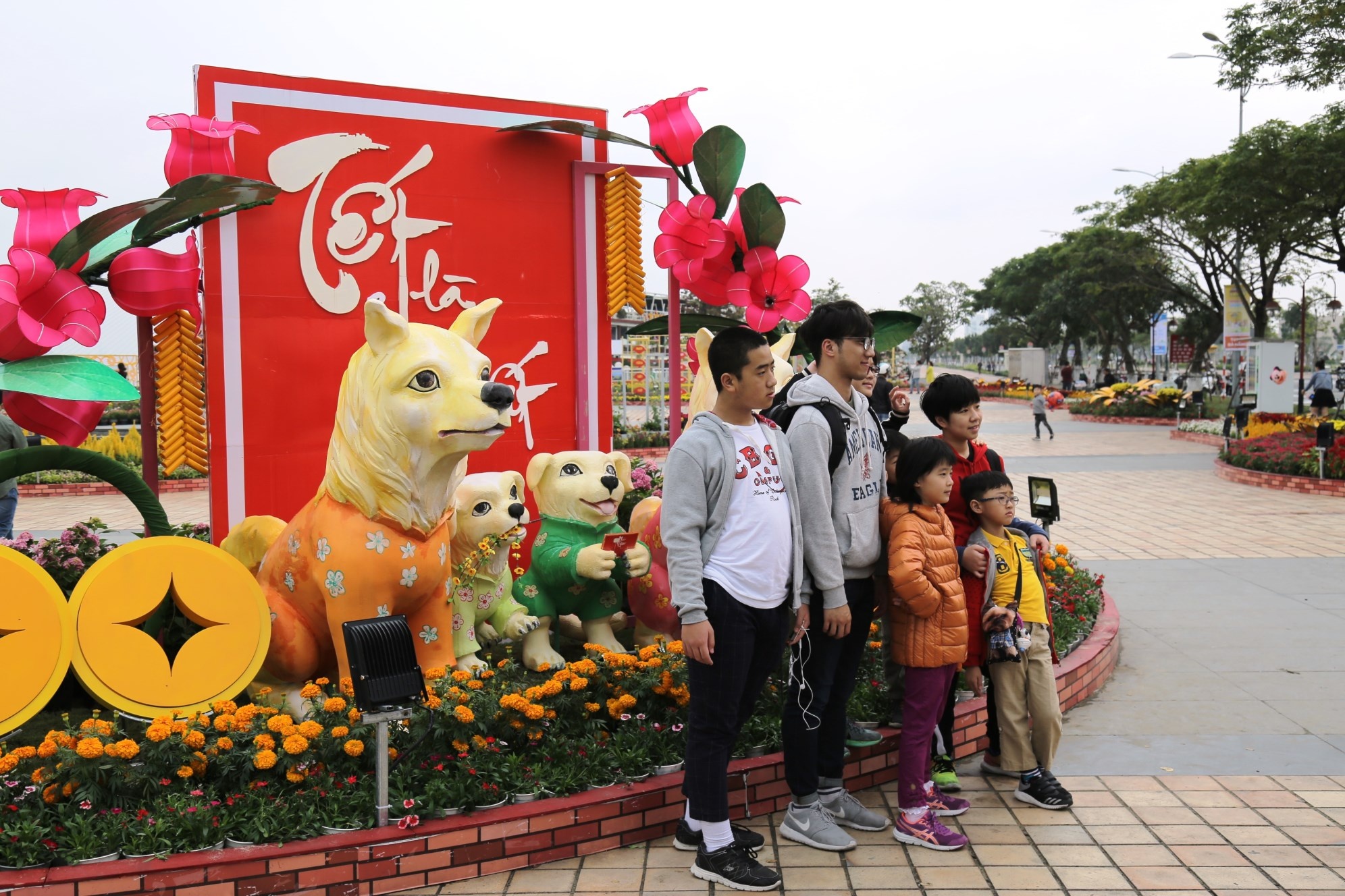 ngam hoa Da Nang anh 2