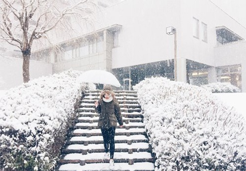 sinh viên du học đón Tết ảnh 1 sinh vien du hoc don Tet anh 1