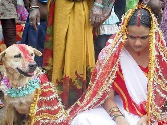 Co gai An Do 18 tuoi ket hon voi mot chu cho hinh anh