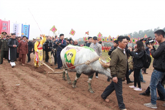 Le hoi dau xuan thu vi anh 3