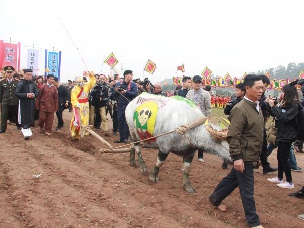 Ban biet gi ve nhung le hoi thu vi o Viet Nam dip dau nam? hinh anh
