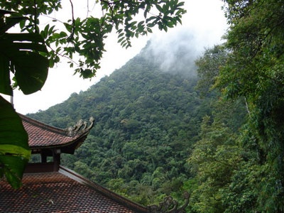 Le hoi dau xuan thu vi anh 7