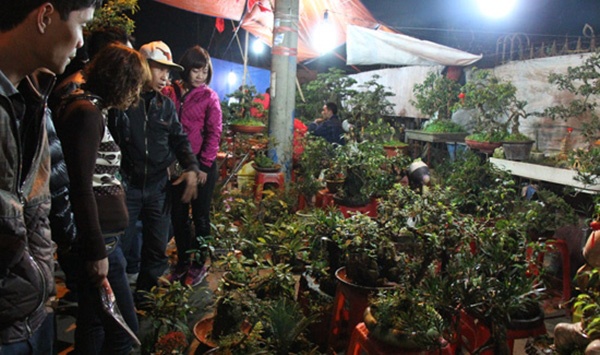 Le hoi dau xuan thu vi anh 2