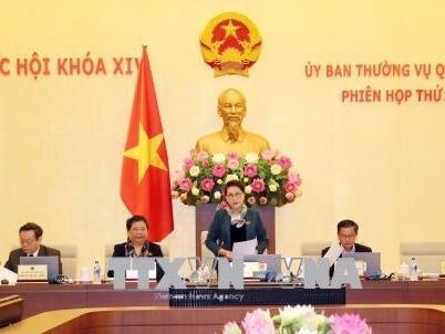 Tao co so phap ly thuc hien doi moi can ban, toan dien giao duc hinh anh