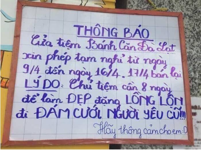 Chu quan nghi 8 ngay di dam cuoi nguoi cu khon kho vi 'dao y tuong'? hinh anh