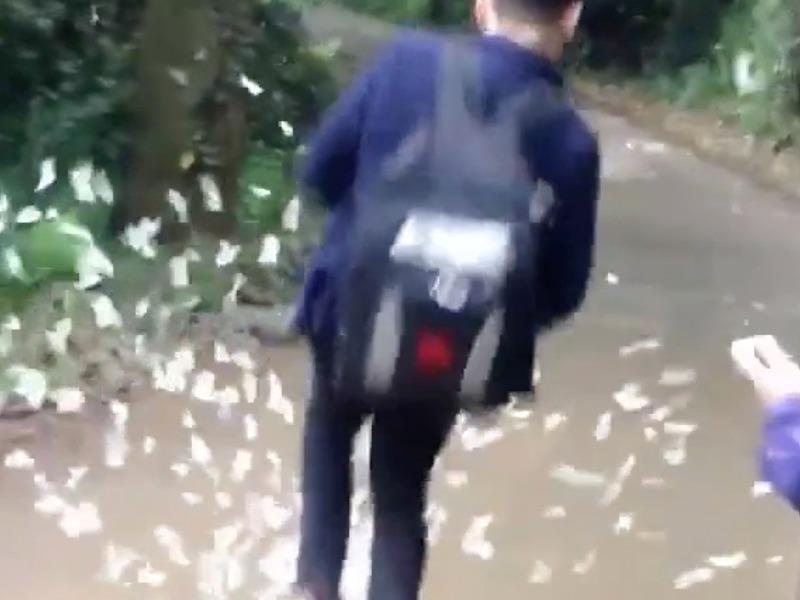 Nhom phuot thu giam dap len dan buom trang Cuc Phuong hinh anh