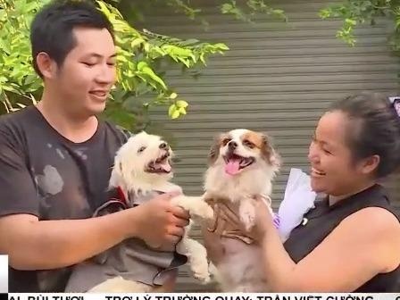 9X hoan dam cuoi, danh tien nuoi hang tram chu cho bi bo roi hinh anh