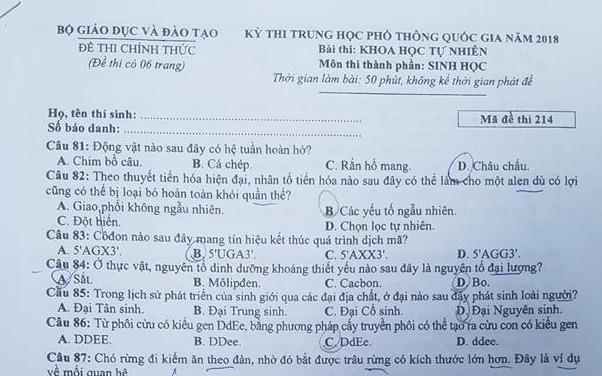 'De thi Sinh kho, hoc sinh gioi moi lam het bai' hinh anh