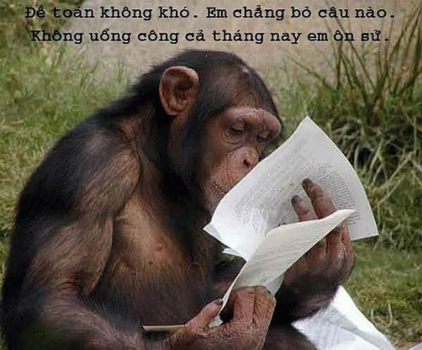 ảnh chế mùa thi ảnh 4 anh che mua thi anh 4