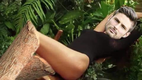 anh che tran Phap Bi anh 8