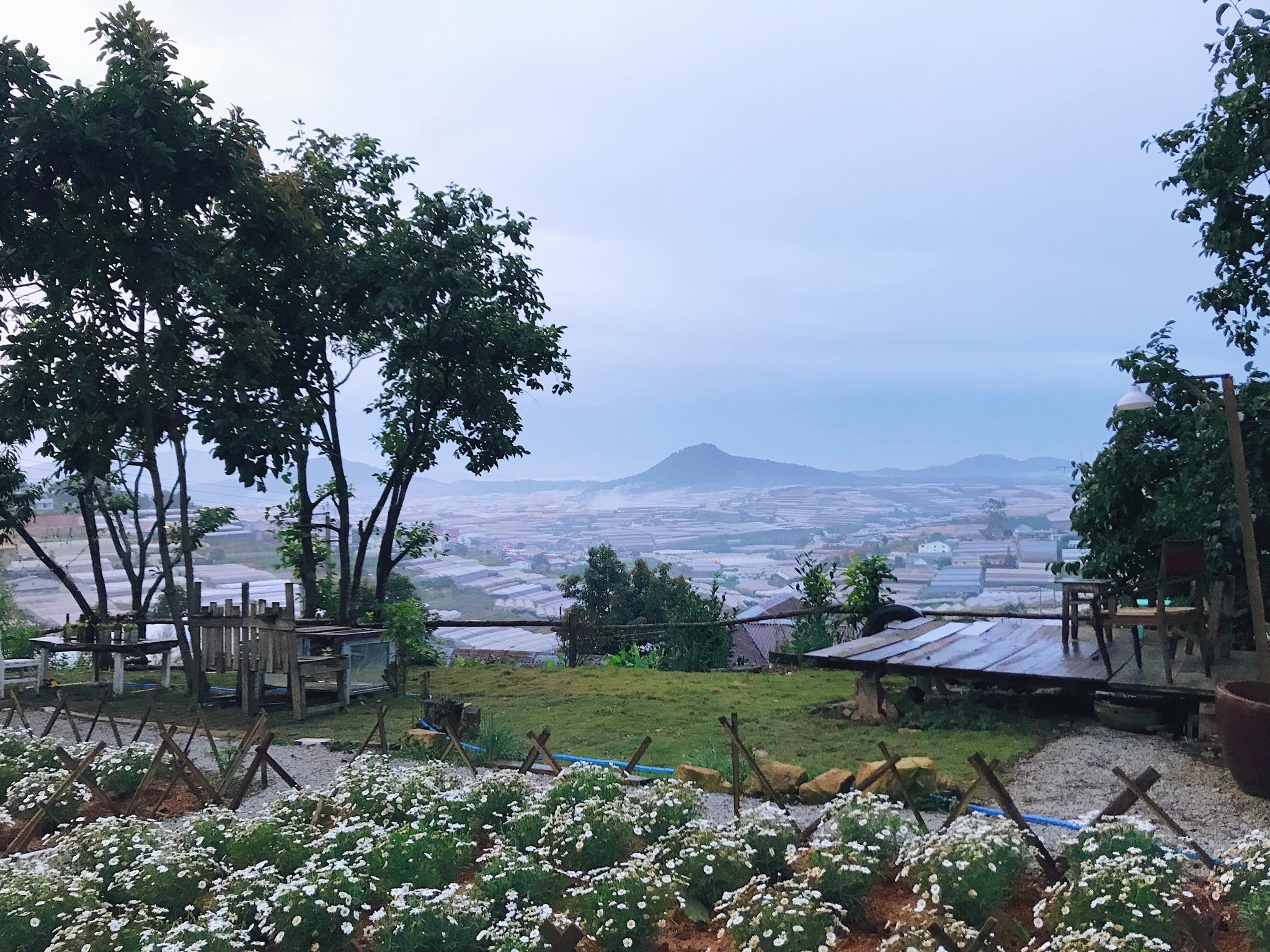 các bạn trẻ biến căn nhà đổ nát thành nhà đẹp ảnh 4 cac ban tre bien can nha do nat thanh nha dep anh 4