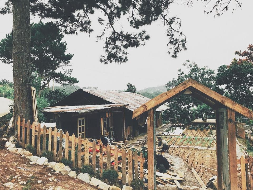 các bạn trẻ biến căn nhà đổ nát thành nhà đẹp ảnh 2 cac ban tre bien can nha do nat thanh nha dep anh 2