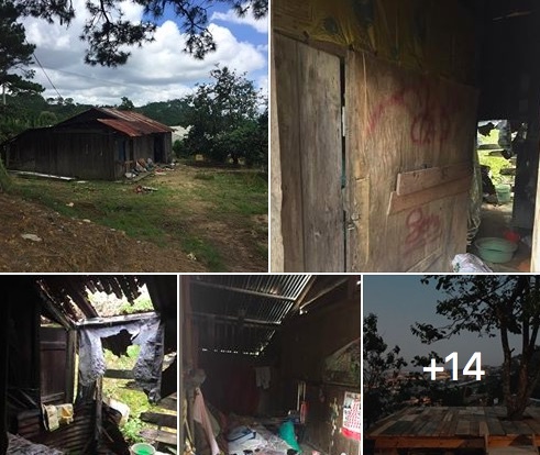 các bạn trẻ biến căn nhà đổ nát thành nhà đẹp ảnh 1 cac ban tre bien can nha do nat thanh nha dep anh 1