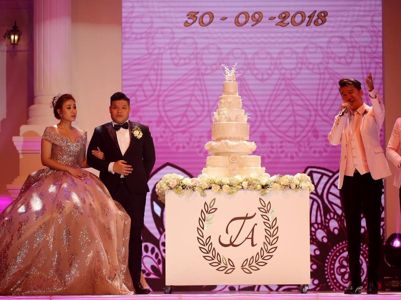 Chu re Da Nang lai oto vao san khau, moi Dam Vinh Hung hat dam cuoi hinh anh