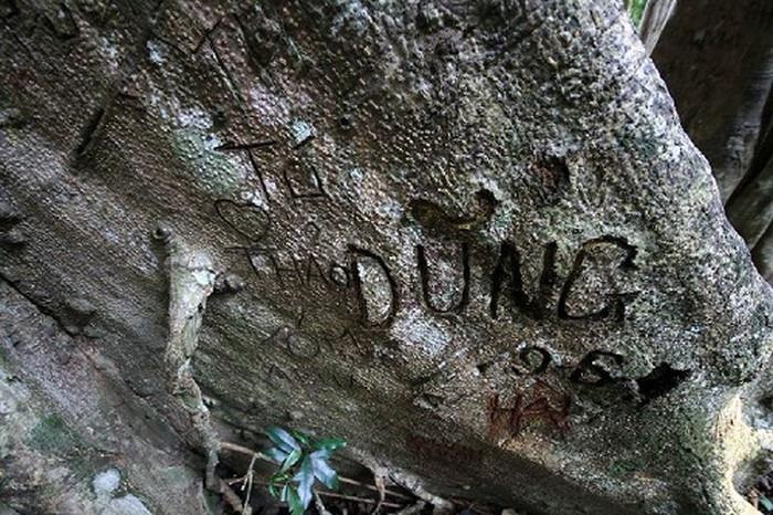 gioi tre ve bay vao khu du lich anh 8