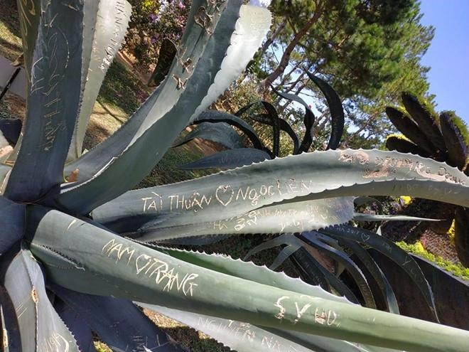 gioi tre ve bay vao khu du lich anh 3