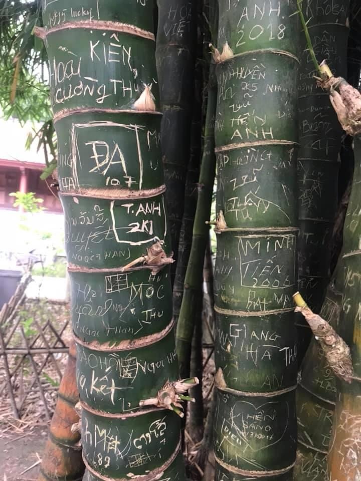 gioi tre ve bay vao khu du lich anh 5