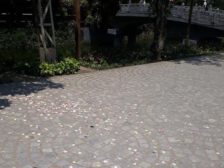 Nhom ban tre tung hoa chup anh, xa rac tai khu du lich Trang An hinh anh