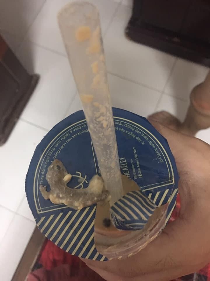 trà sữa có thạch sùng ảnh 1 tra sua co thach sung anh 1