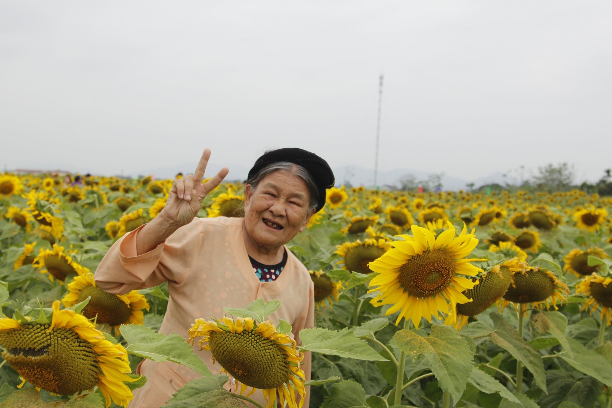 bo anh 2 cu ba anh 2